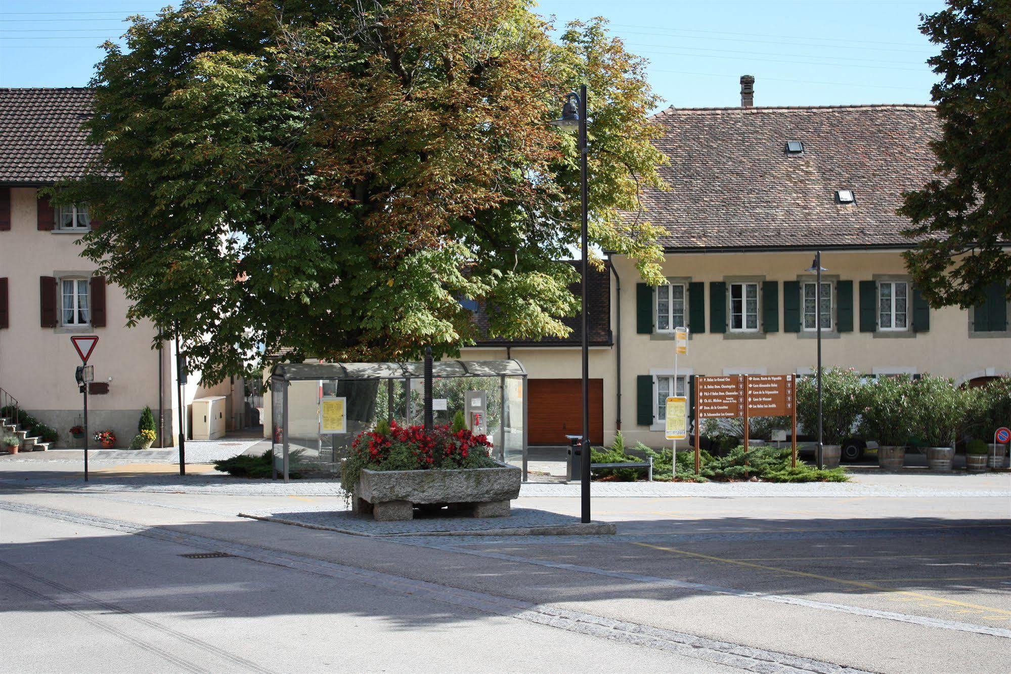 Auberge Communale A L'Union Gilly Εξωτερικό φωτογραφία